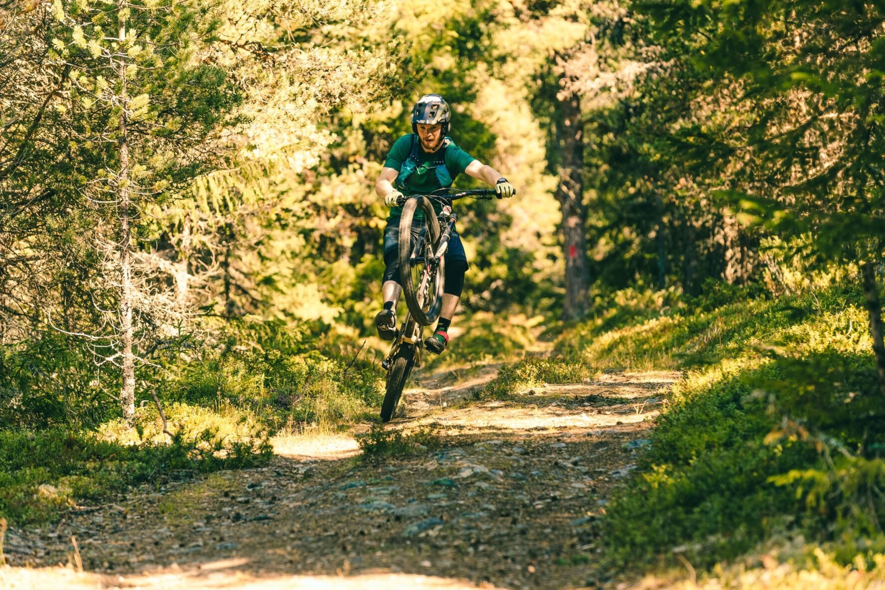 Rear wheel lift in Norway