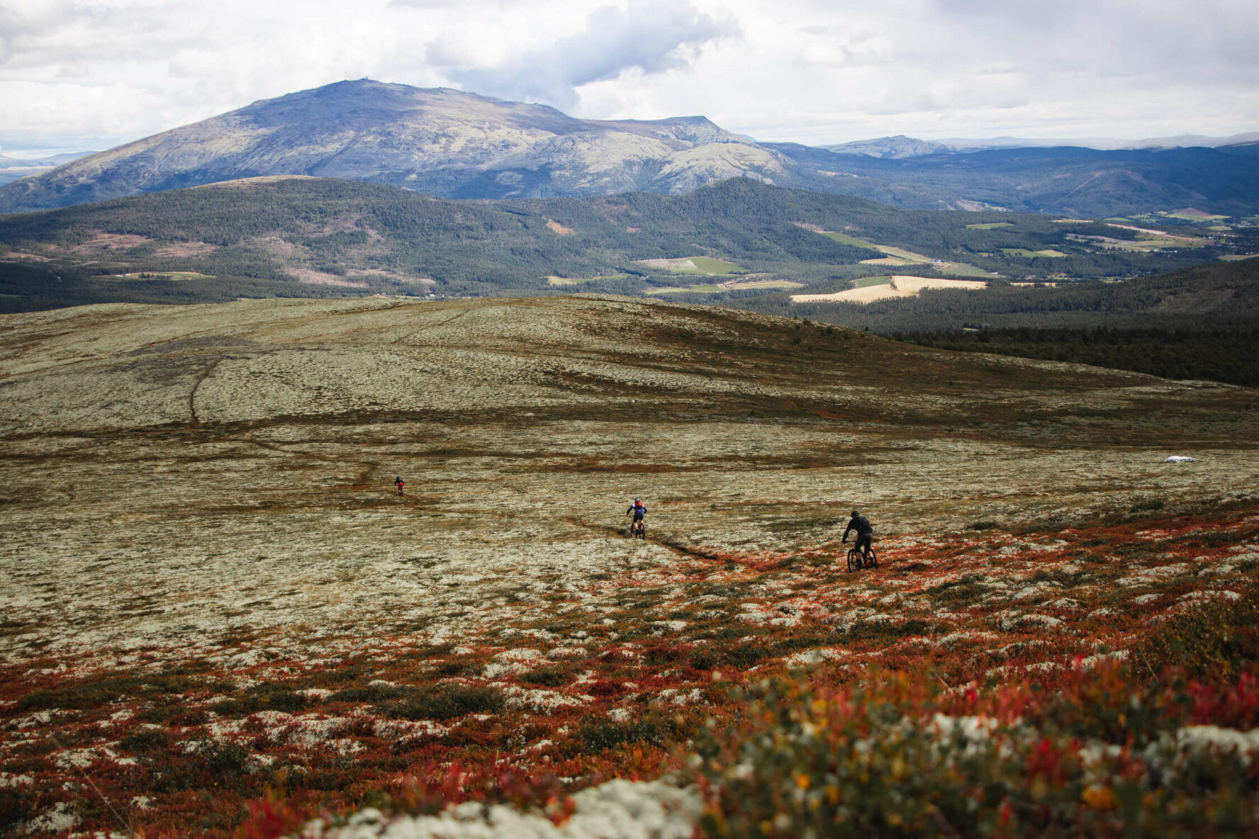 Rondane NP scenery