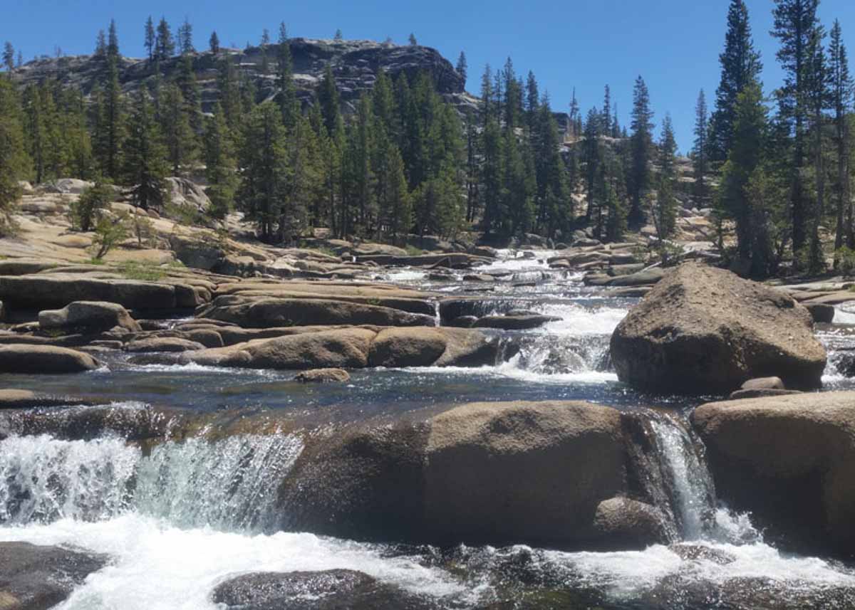 A rushing stream with small waterfalls, in Yosemite.