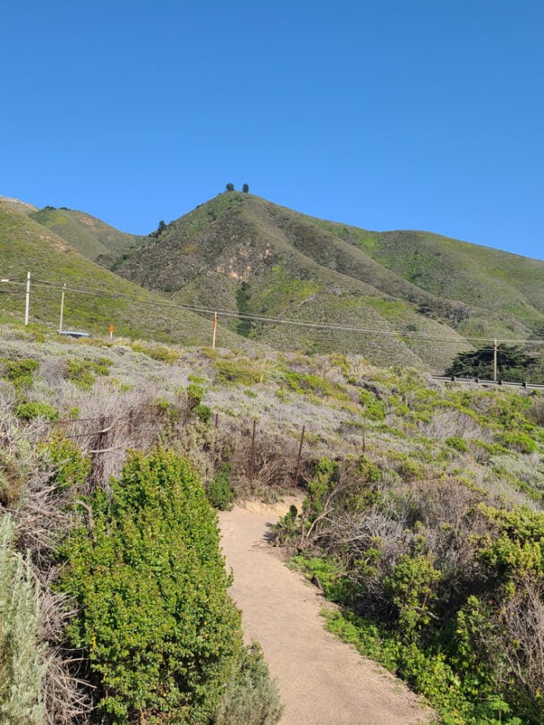 Walking Tours in Carmel-by-the-Sea: Explore California's Fairytale Beach Town