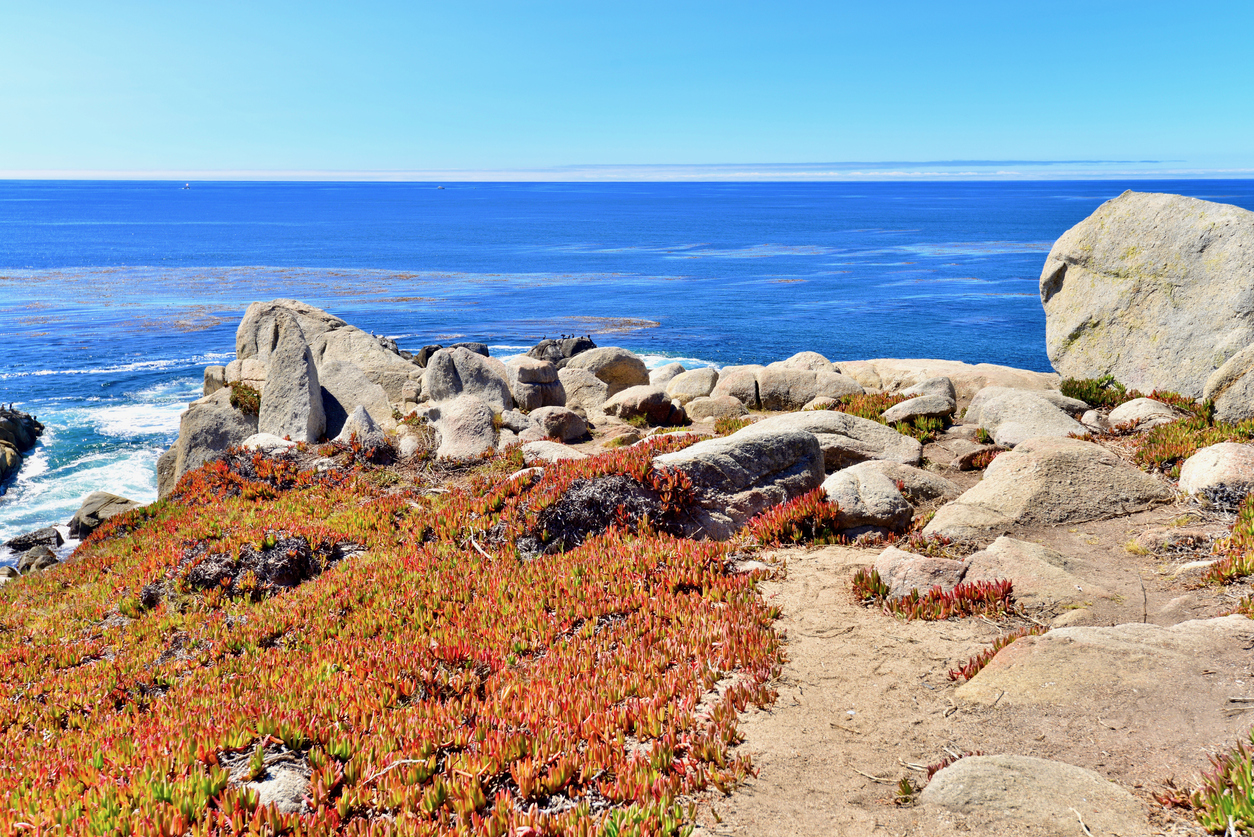 California Seascape around Carmel and Monterey, California