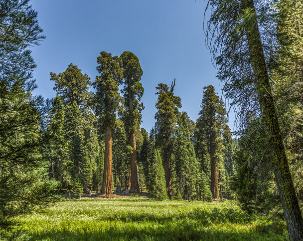Yosemite National Park Camping Tour
