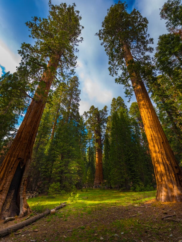 Yosemite National Park Camping Tour