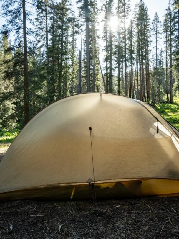 Guided Yosemite hiking tours