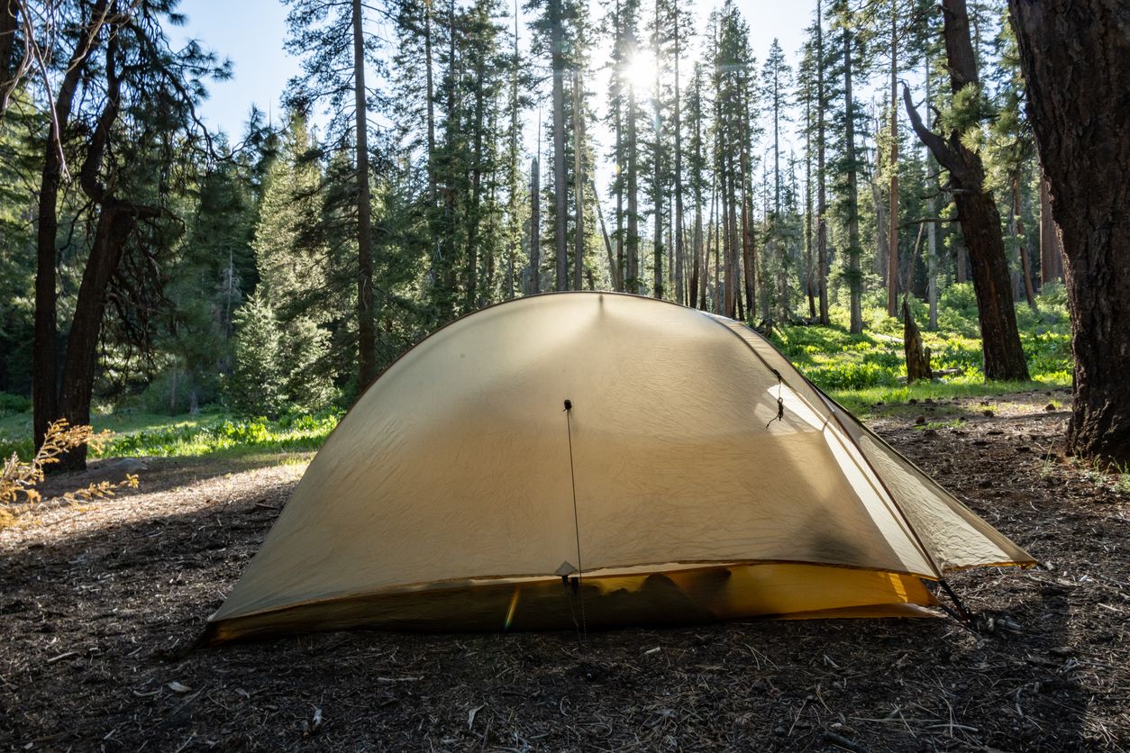Tent in a forest, in Yosemite.
