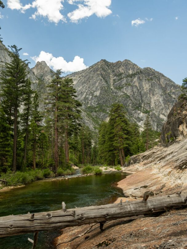 Guided Yosemite hiking tours