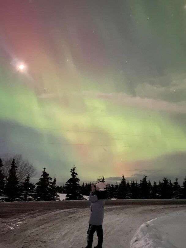 Winter hiking and sightseeing tour in Iceland