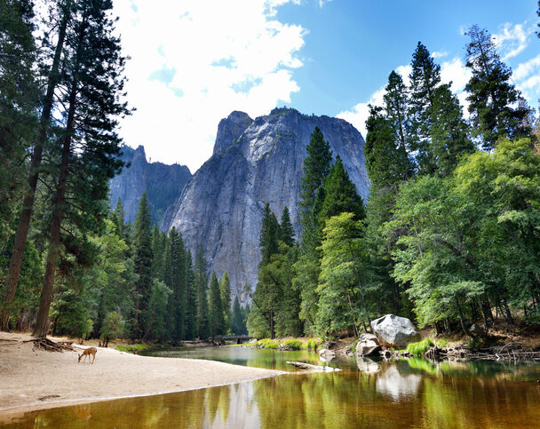 Yosemite National Park Camping Tour