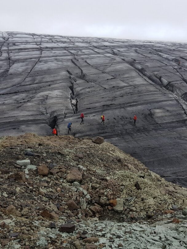 Image showcasing www.rexby.com