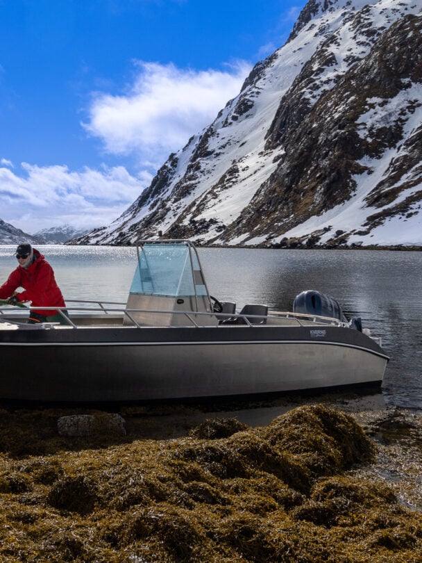 Guided ski touring in Northern Norway adventure