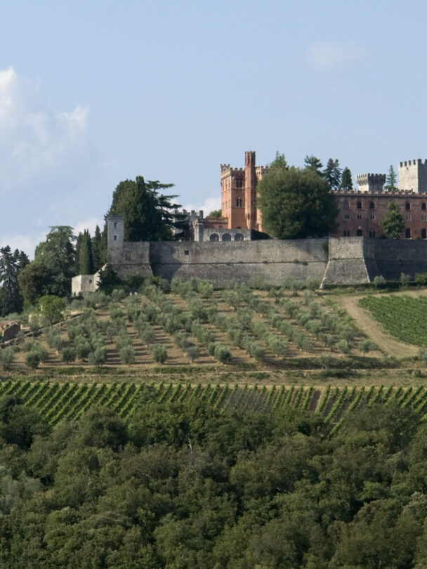 Self-guided bike gravel tour in Tuscany