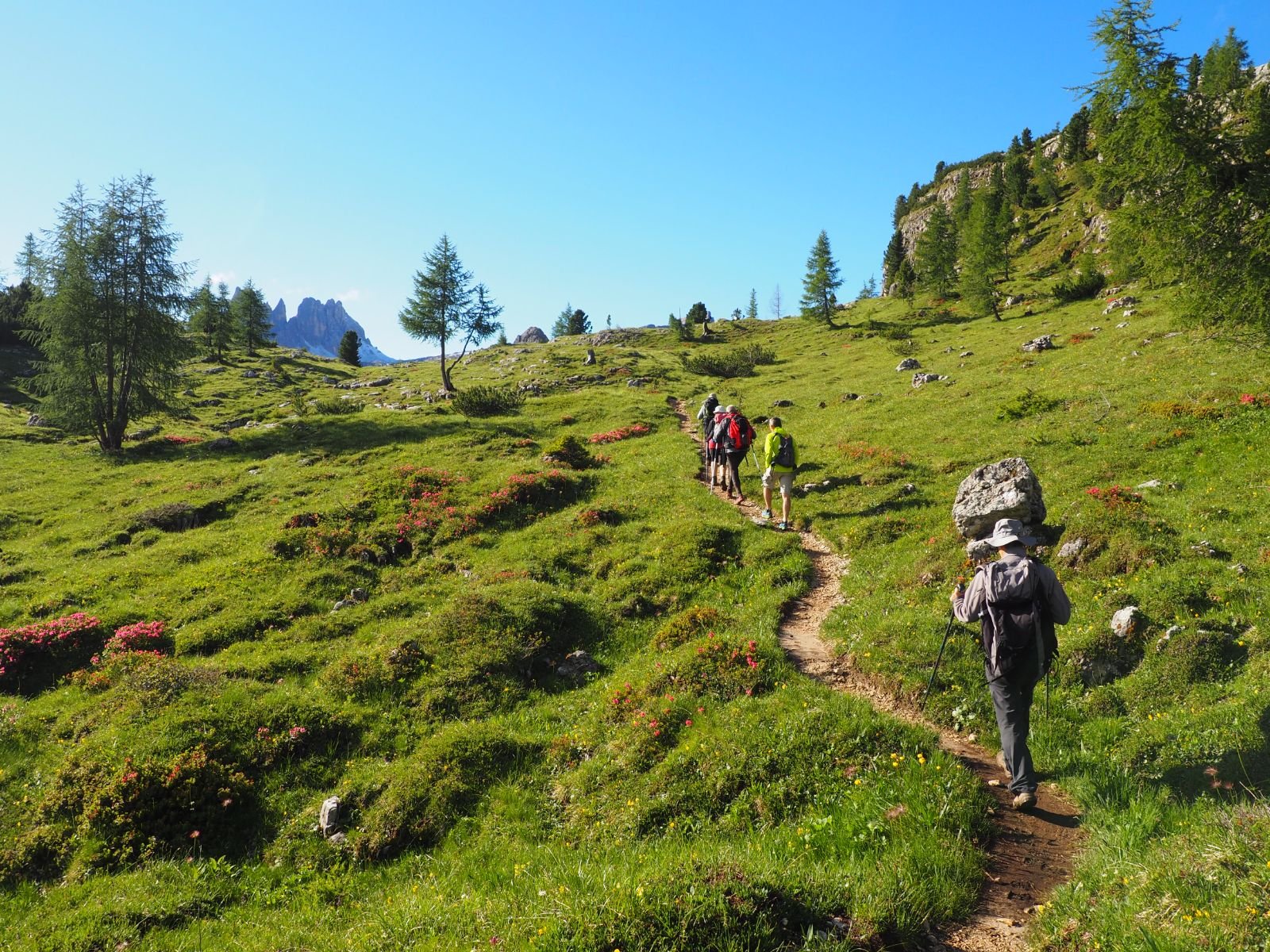 Hikers near Cinque Torri, Dolomites.