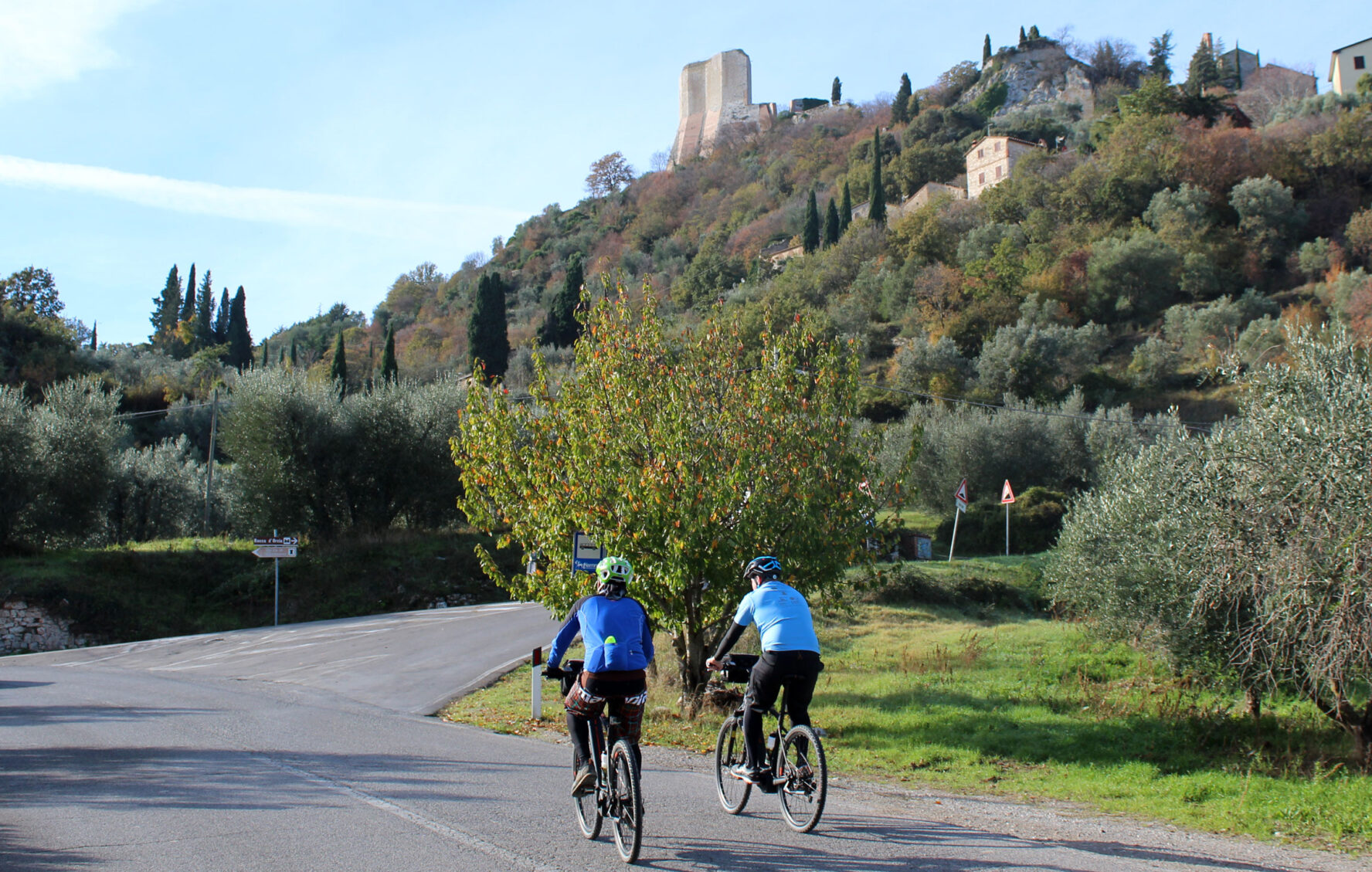 Cycling in Tuscany, orange trees