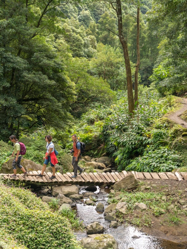 Hiker in a red jacket at the caldera on São Miguel island in the Azores