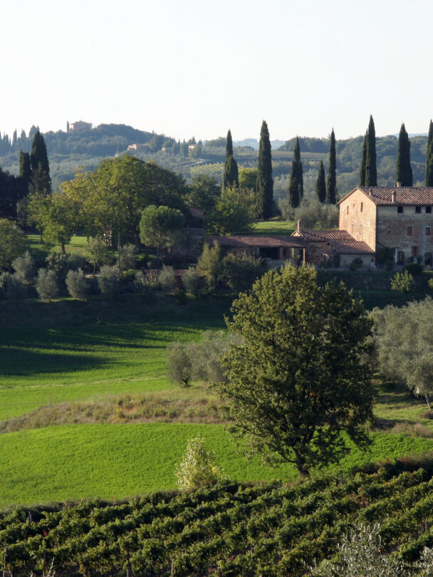 Self-guided bike gravel tour in Tuscany