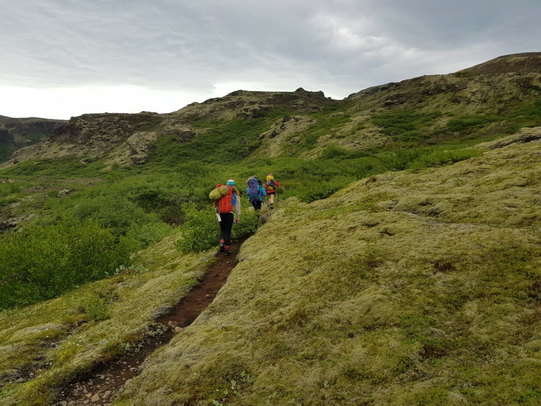 Hikers near Skaftafell mountains, Iceland
