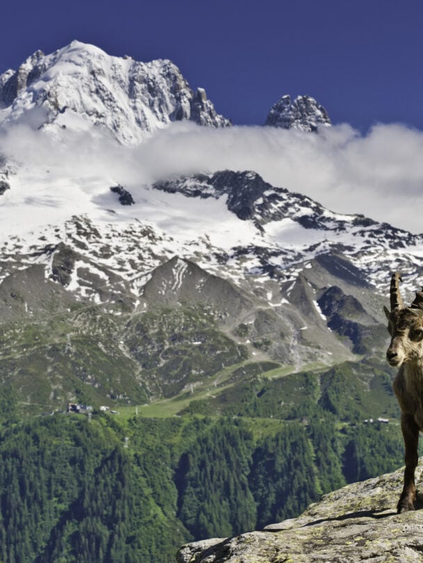 Luxury Self-Guided Tour du Mont Blanc
