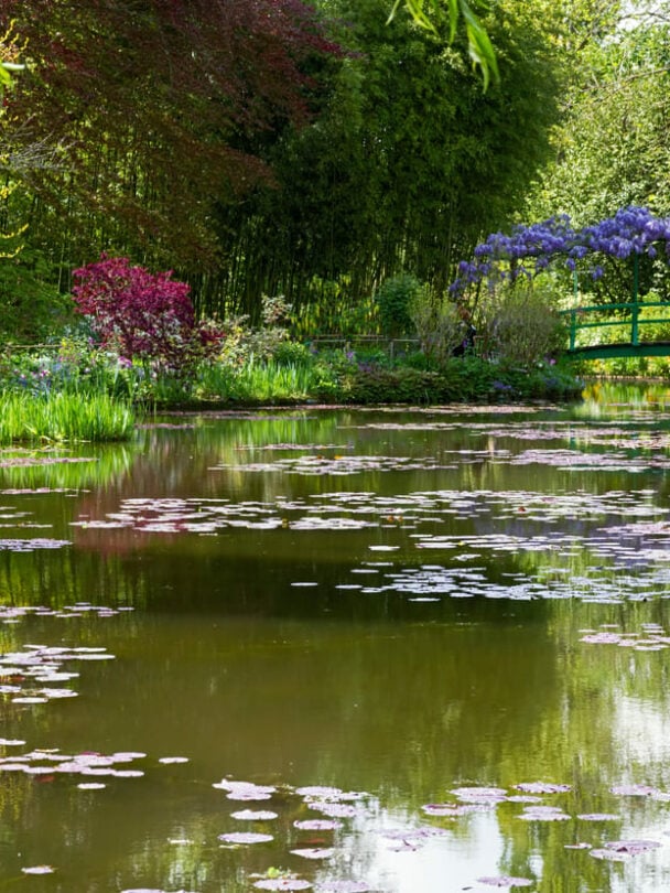 Seine boat & bike tour