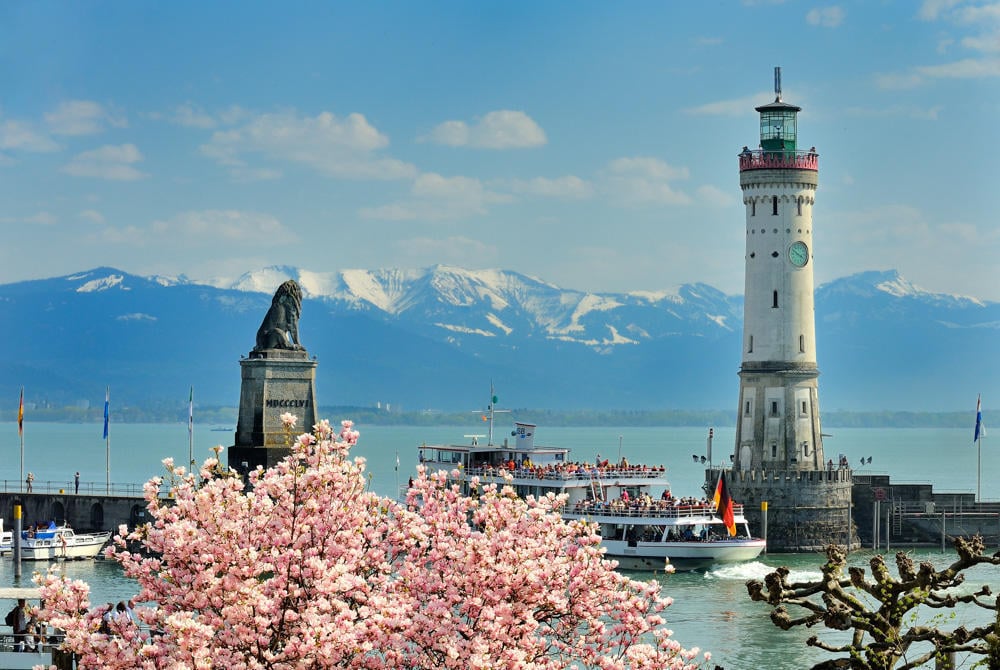 Magnolias in Lindau port