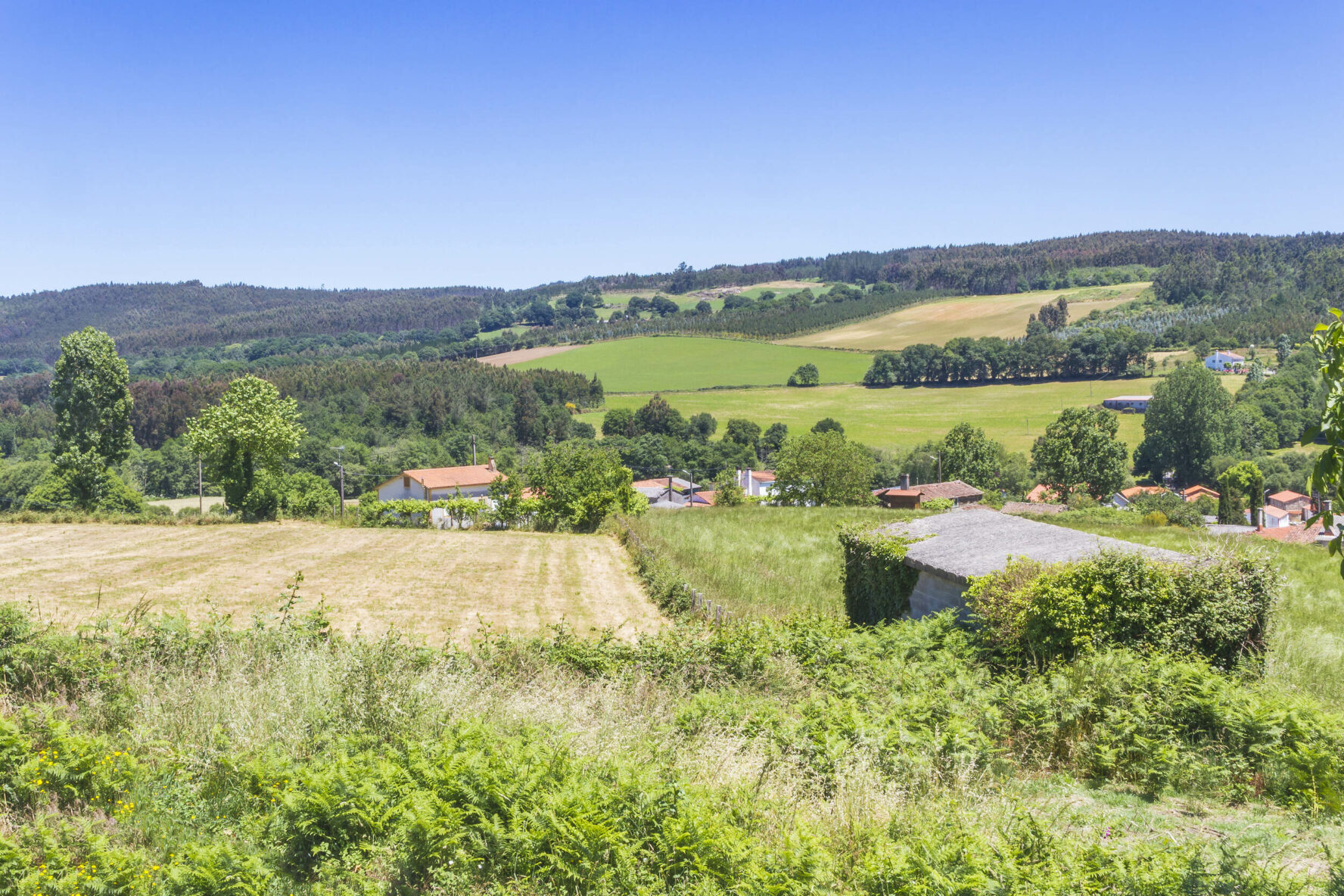 Rolling hills around Melide.