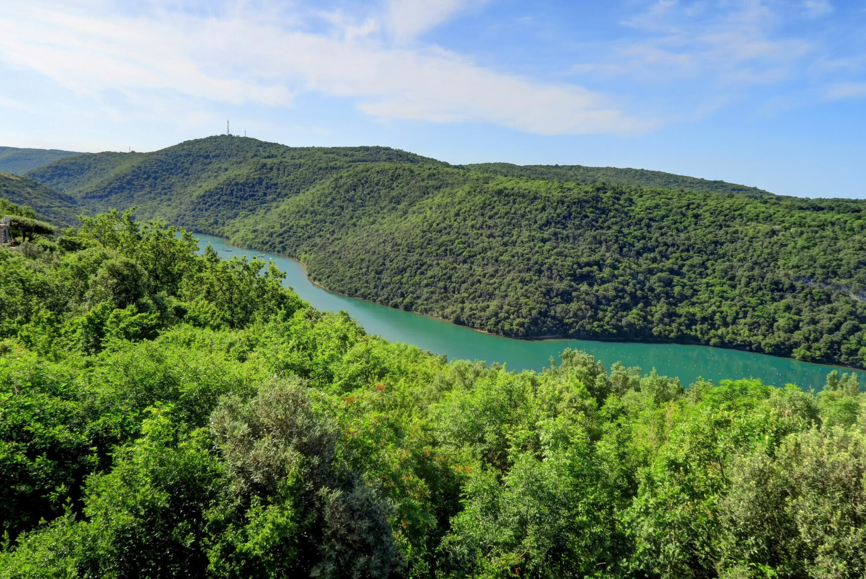 Jade-colored Mirna river, Istria, Croatia.