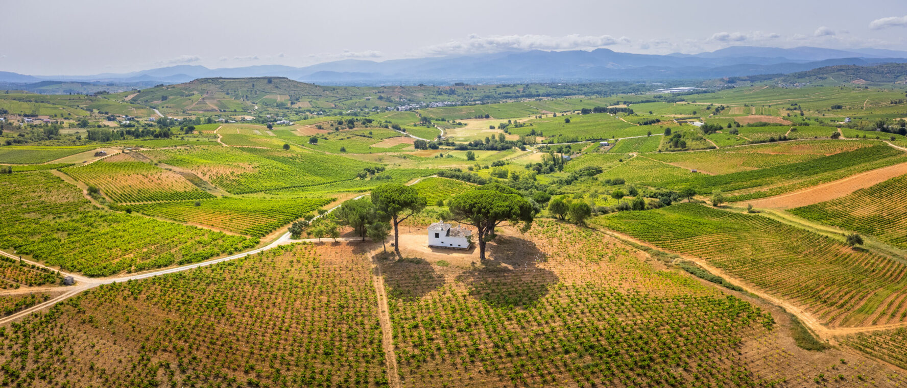 Rolling hills around Villafranca del Bierzo.