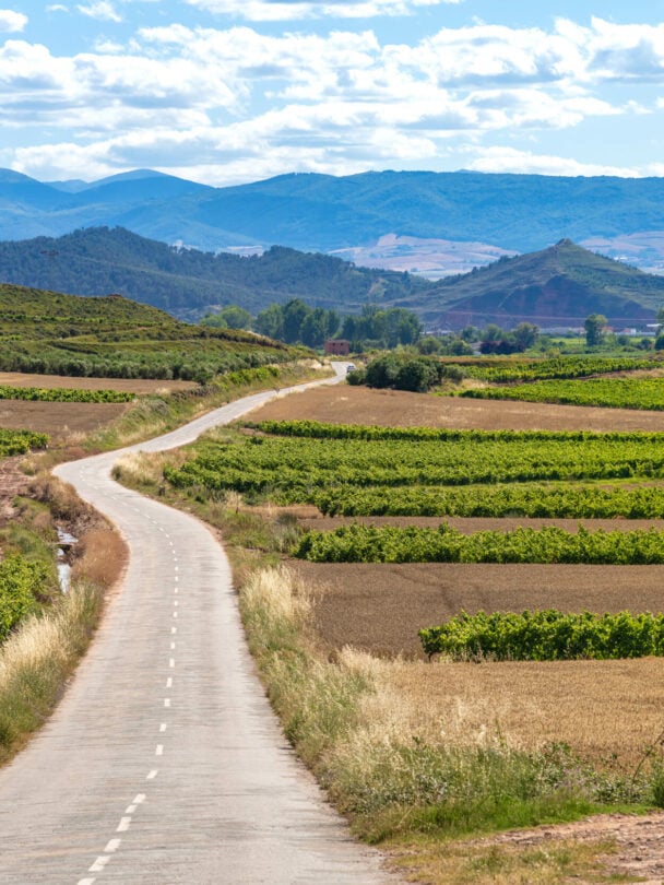 Camino Frances By Bike: Self-Guided Adventure.