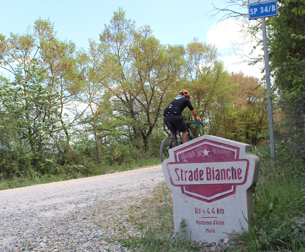 Strade Bianche in Tuscany