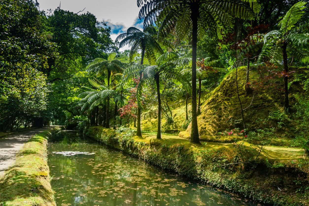 Terra Nostra botanical garden with untouched flora at Furnas, Azores, Portugal