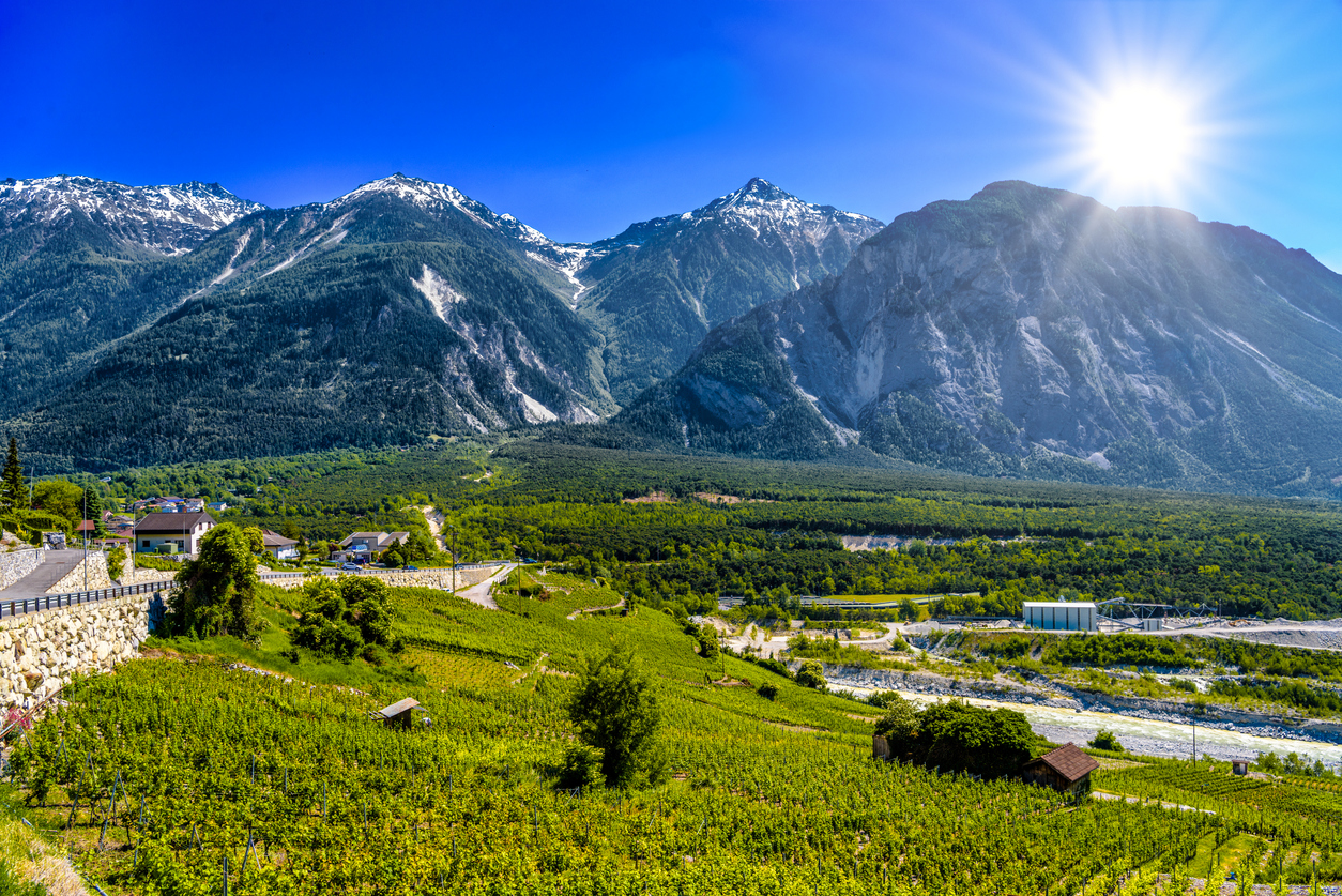 Vineyards of Leuk in Switzerland