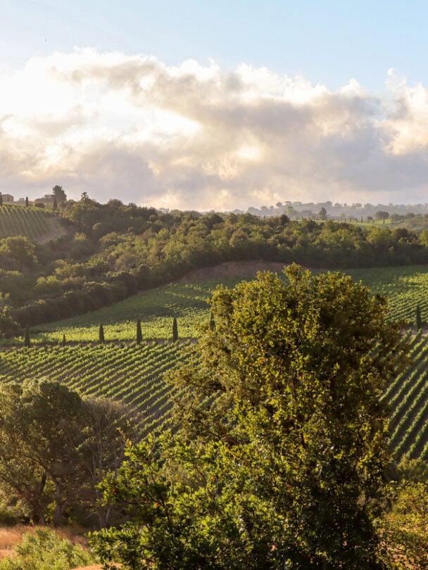 Self-guided bike gravel tour in Tuscany