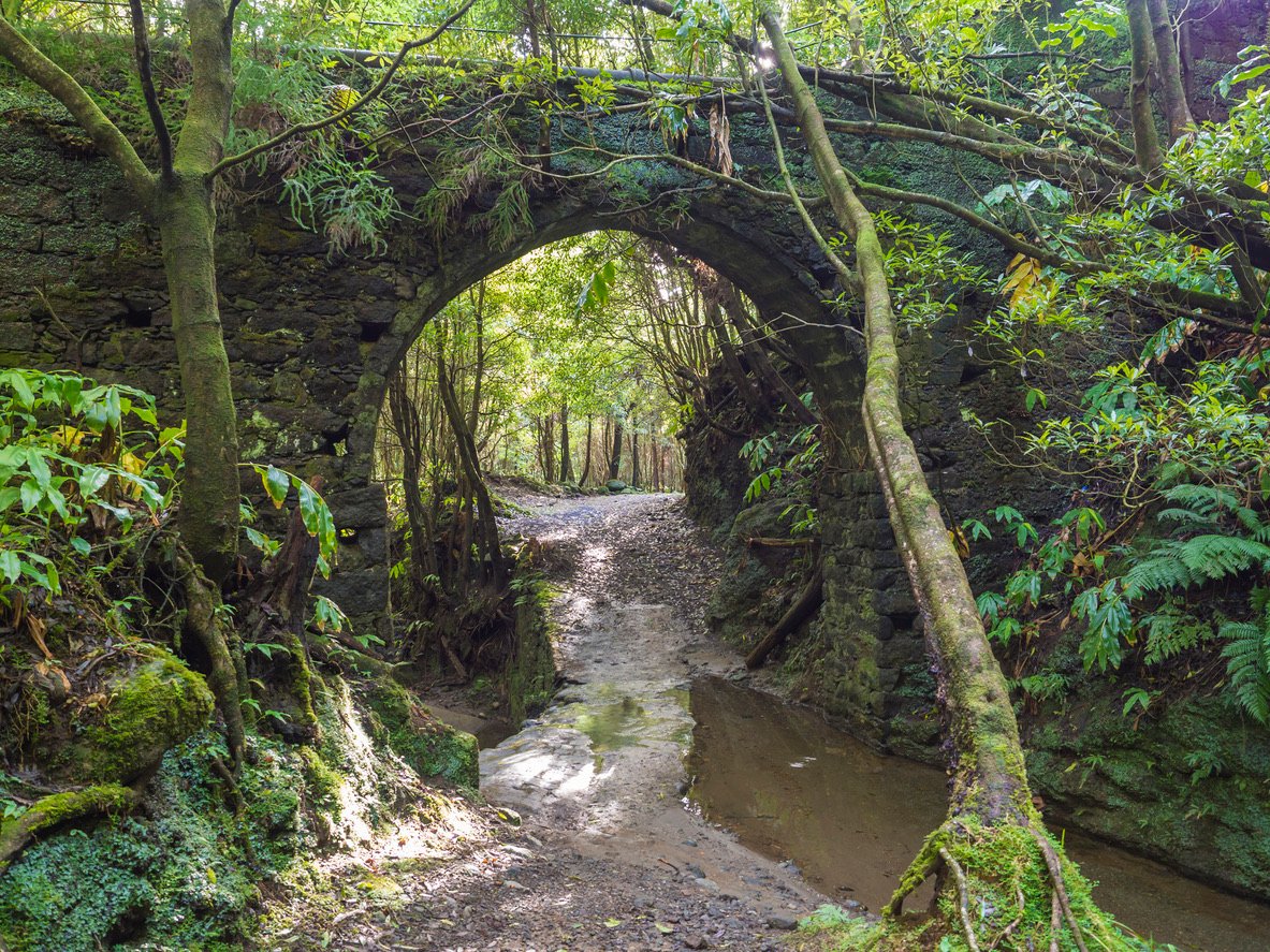 Old Stone Water-conduit Bridge