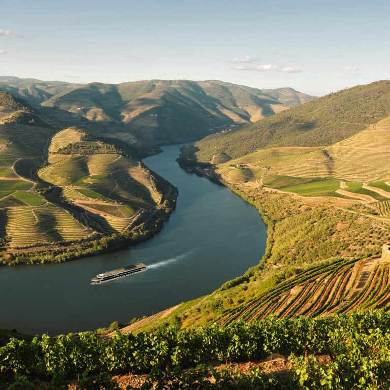 Boat cruising along the Douro River