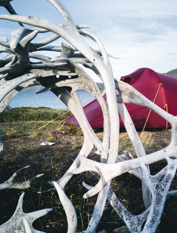 Hikers on the Arctic Circle Trail