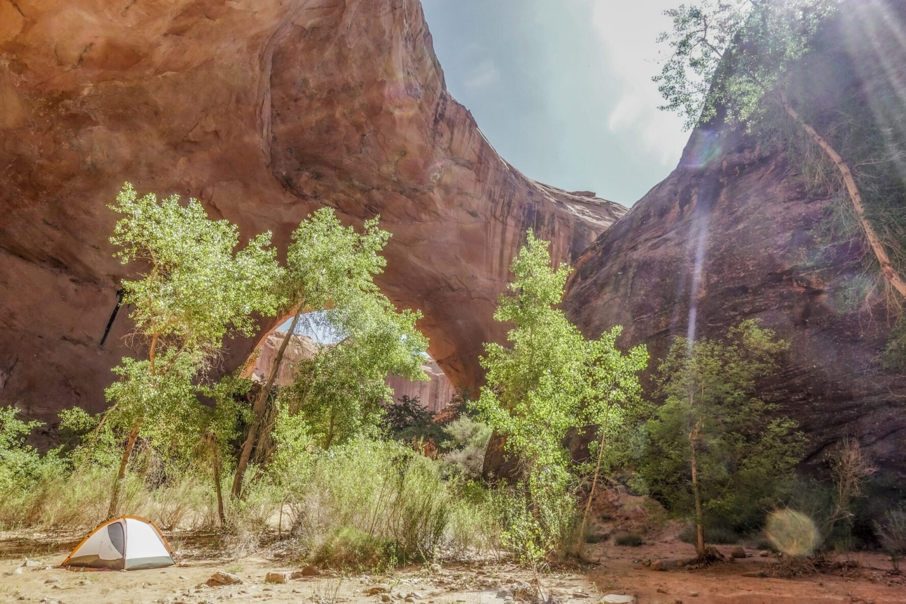 A ten below cottonwoods, with red sandstone rock formations behind, in Coyote Gulch.
