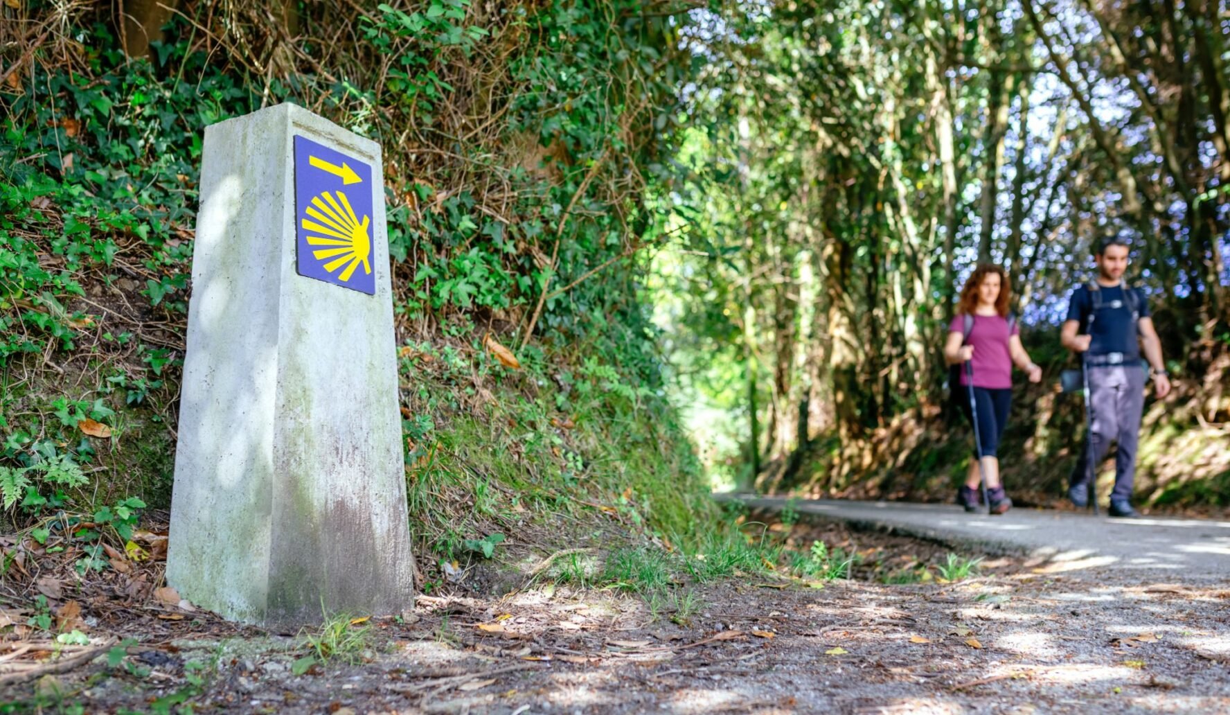Couple walking the Camino Frances from Sarria to Santiago de Compostela, in a wood and with a characteristic sign.