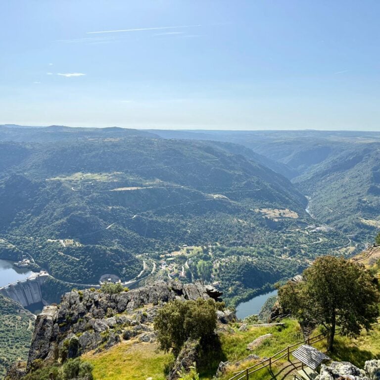 douro panoramic view