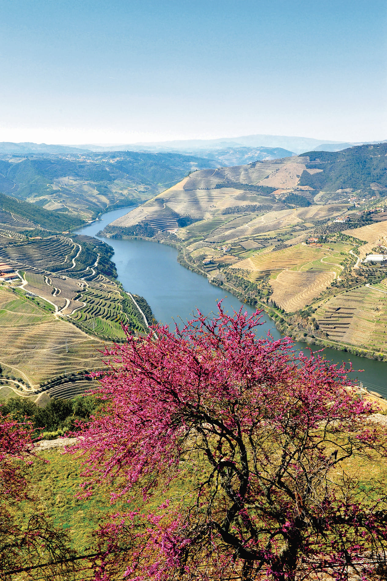 Douro River in spring