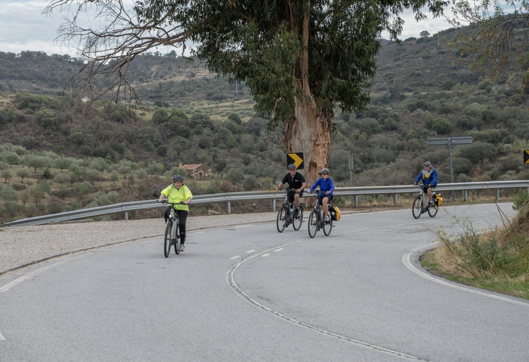 Douro road cyclists