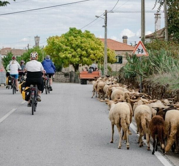 Douro two cyclists