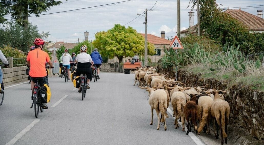 Douro sheep village