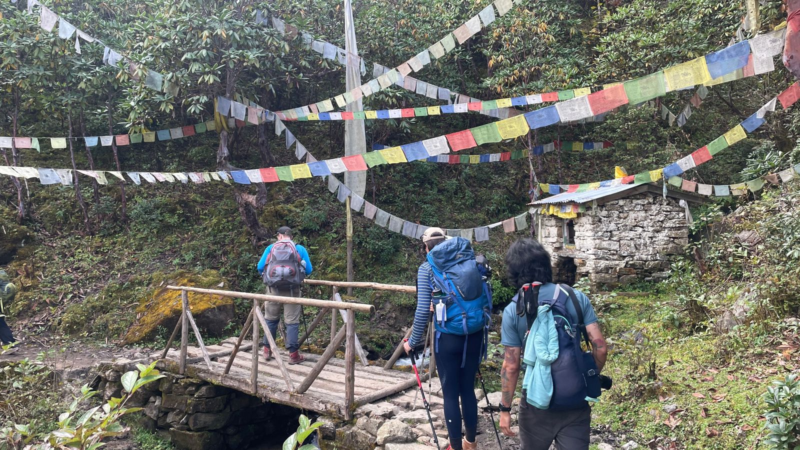 Trekkers exploring the beauties of the Langtang Valley Trek.