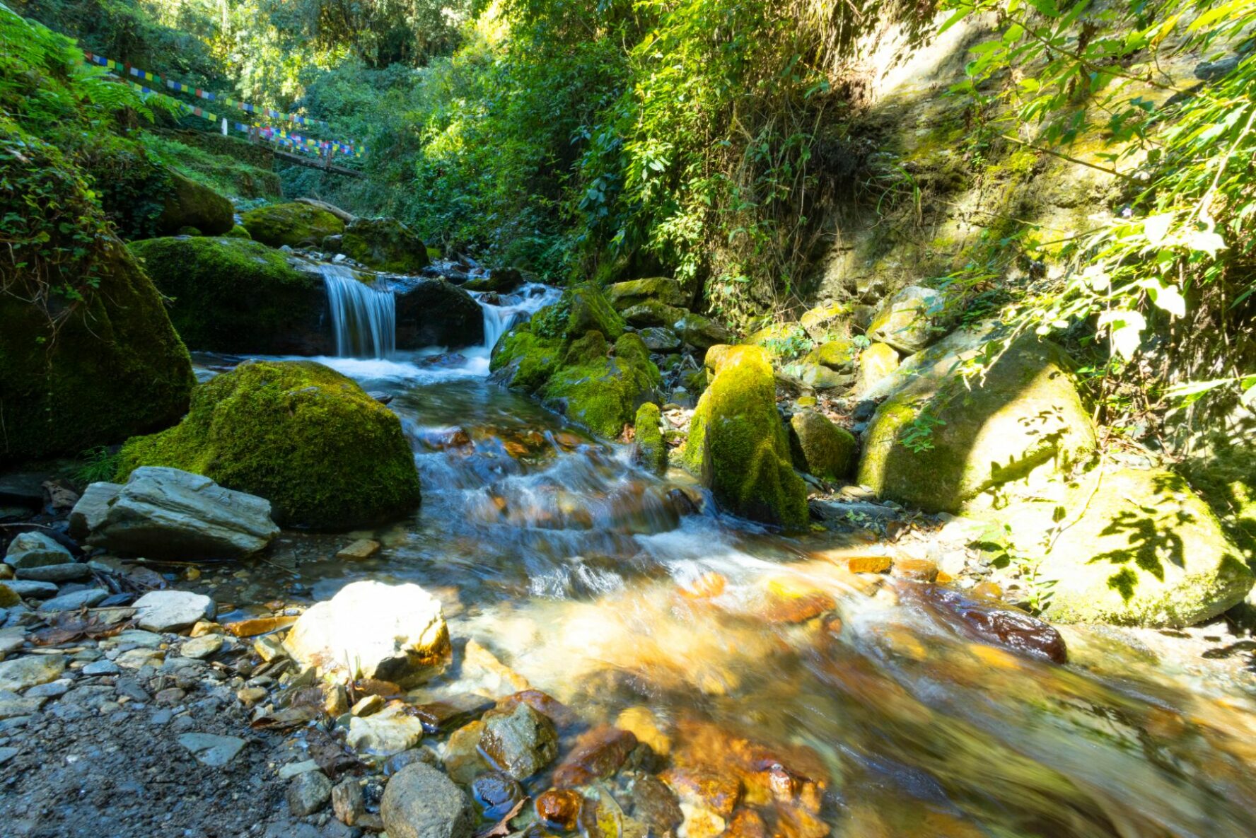 A stream and a small waterfall in a lush setting near Ghorepani, Nepal, seen during the Annapurna Base Camp Trek.