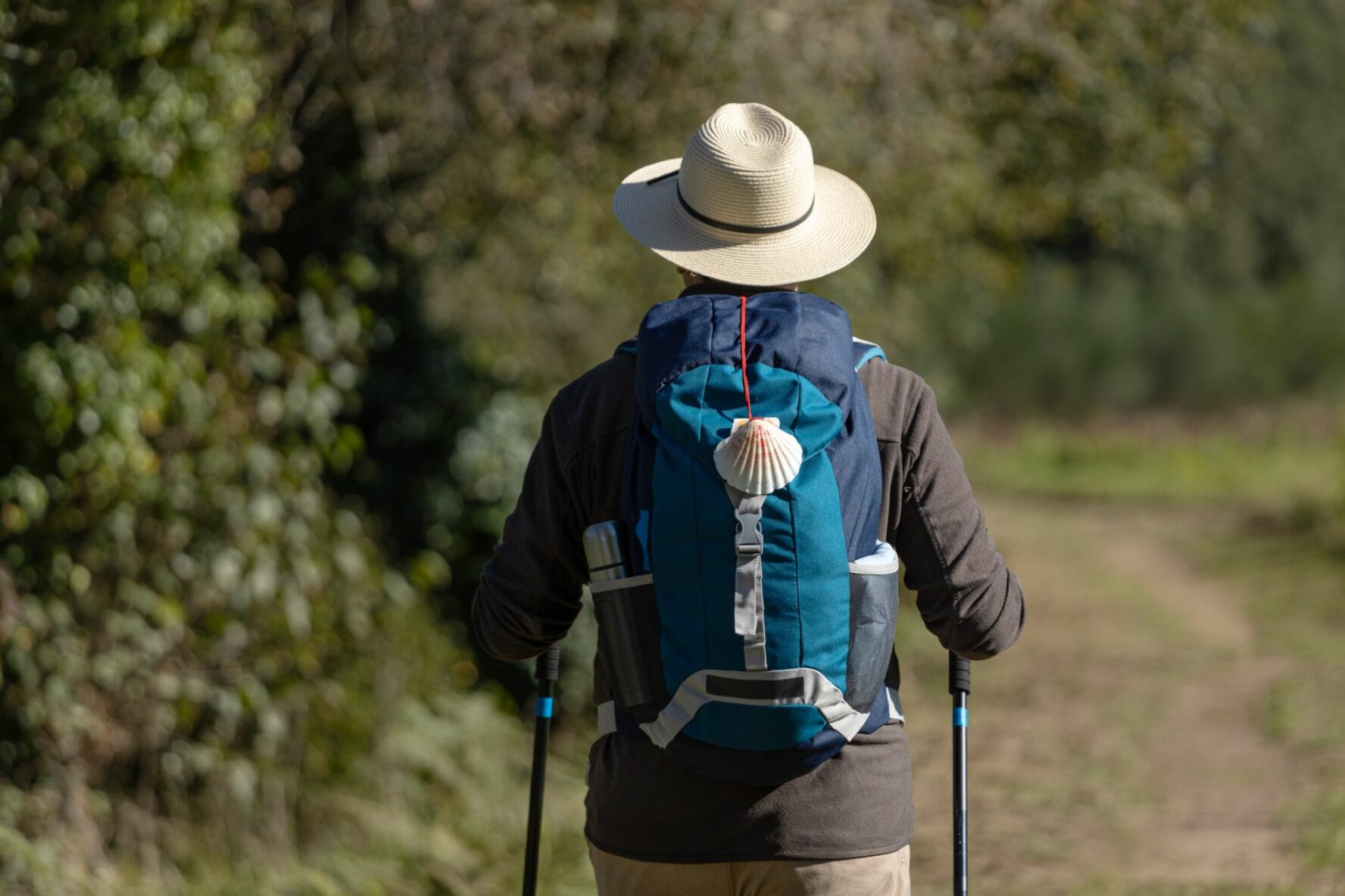 Hiker seen from the back with a backpack adorned with a scallop, walking the Camino Frances.