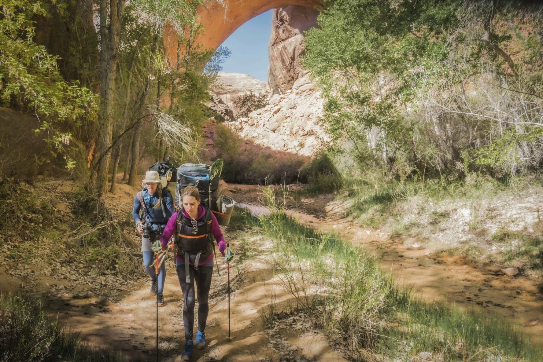 Two backpackers hiking in the Cottonwood Gulch.