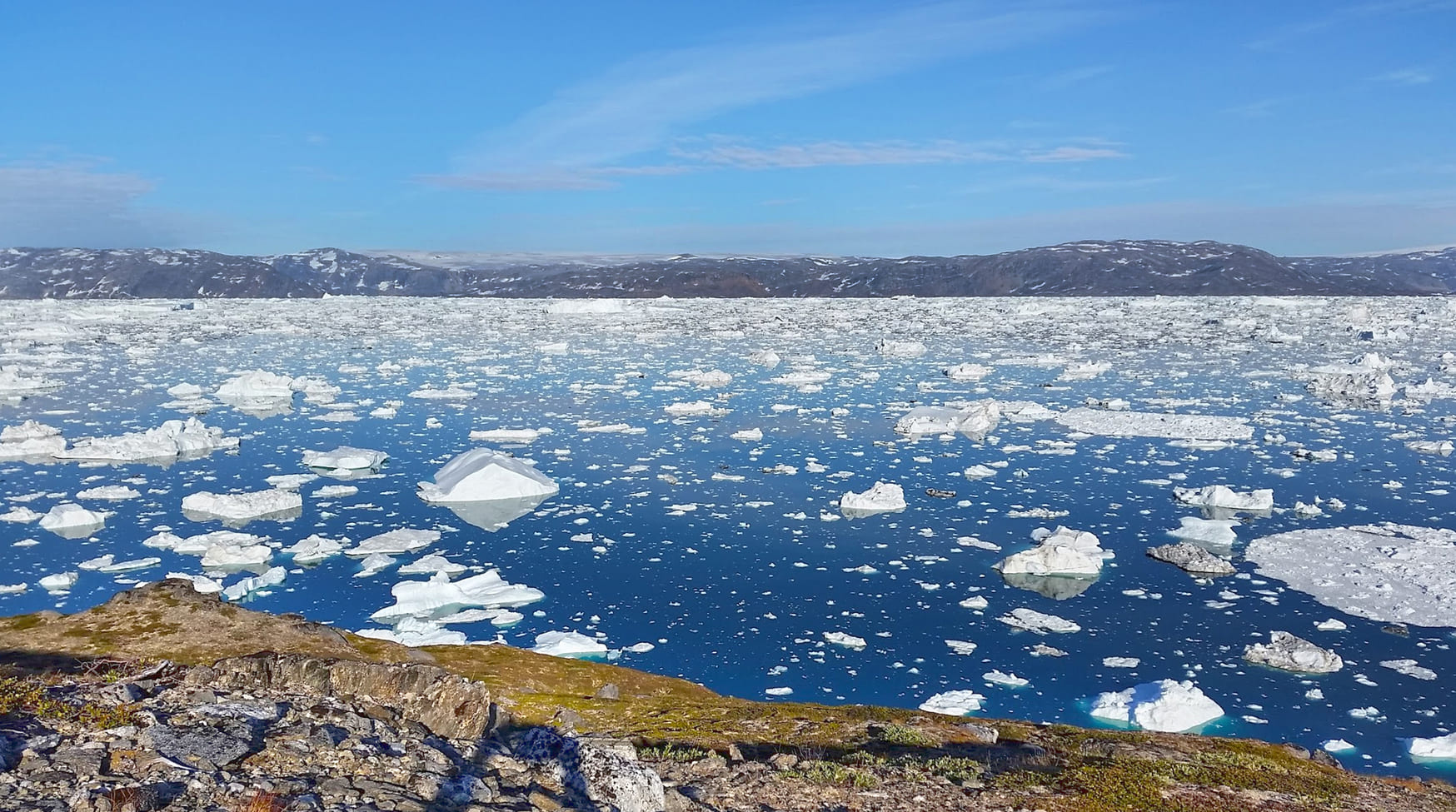 Icebergs in Greenland landscape