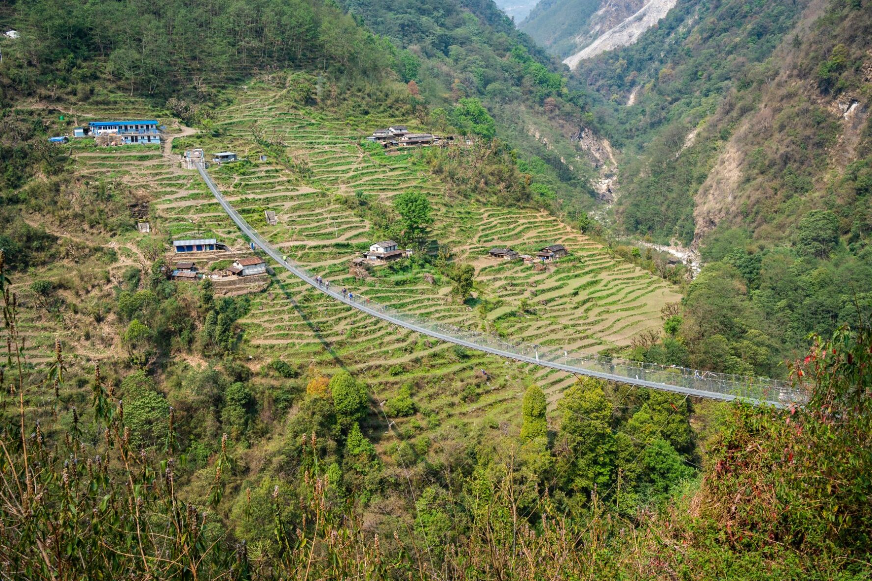Suspension bridge in the Nepalese village of Jhinu Danda, near terraced rice fields, seen during the Annapurna Base Camp Trek.