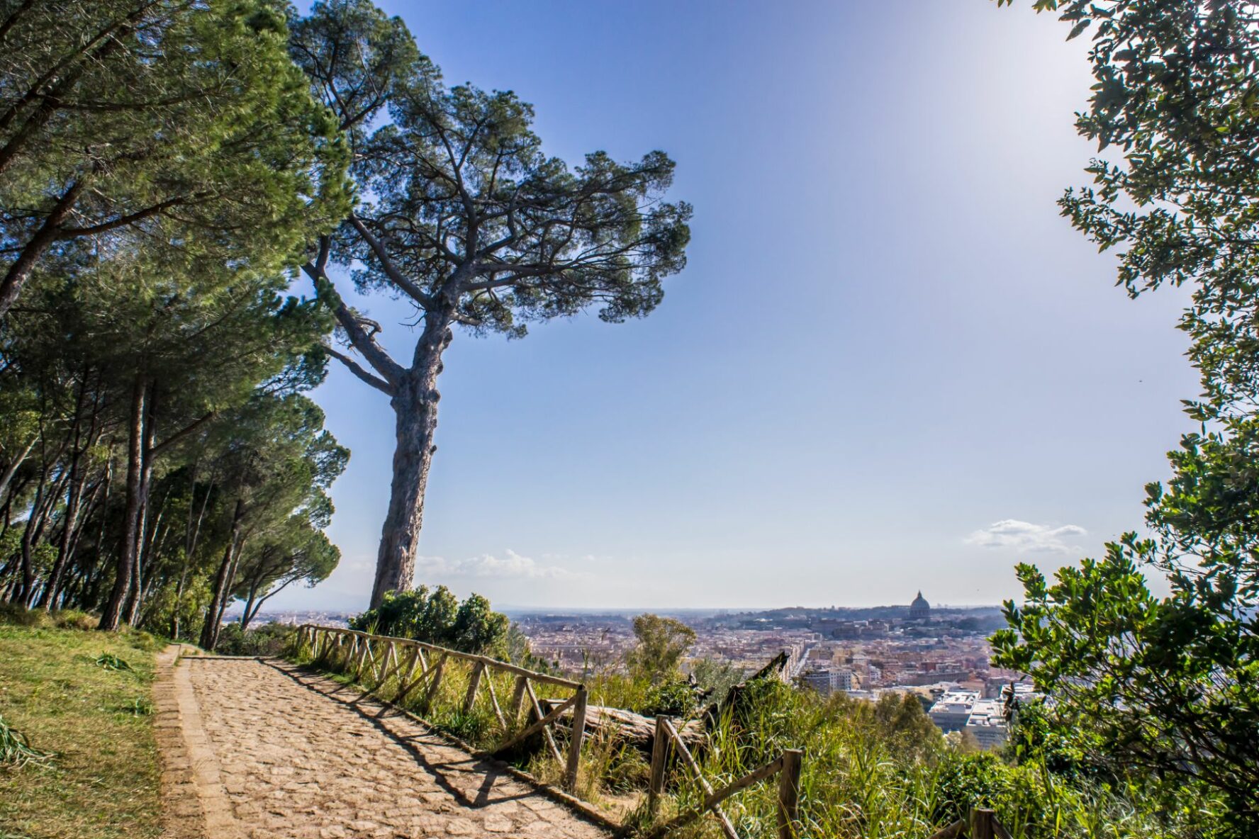 Monte Mario Park in Rome, with characteristic pines and views of Saint Peter’s Basilica.