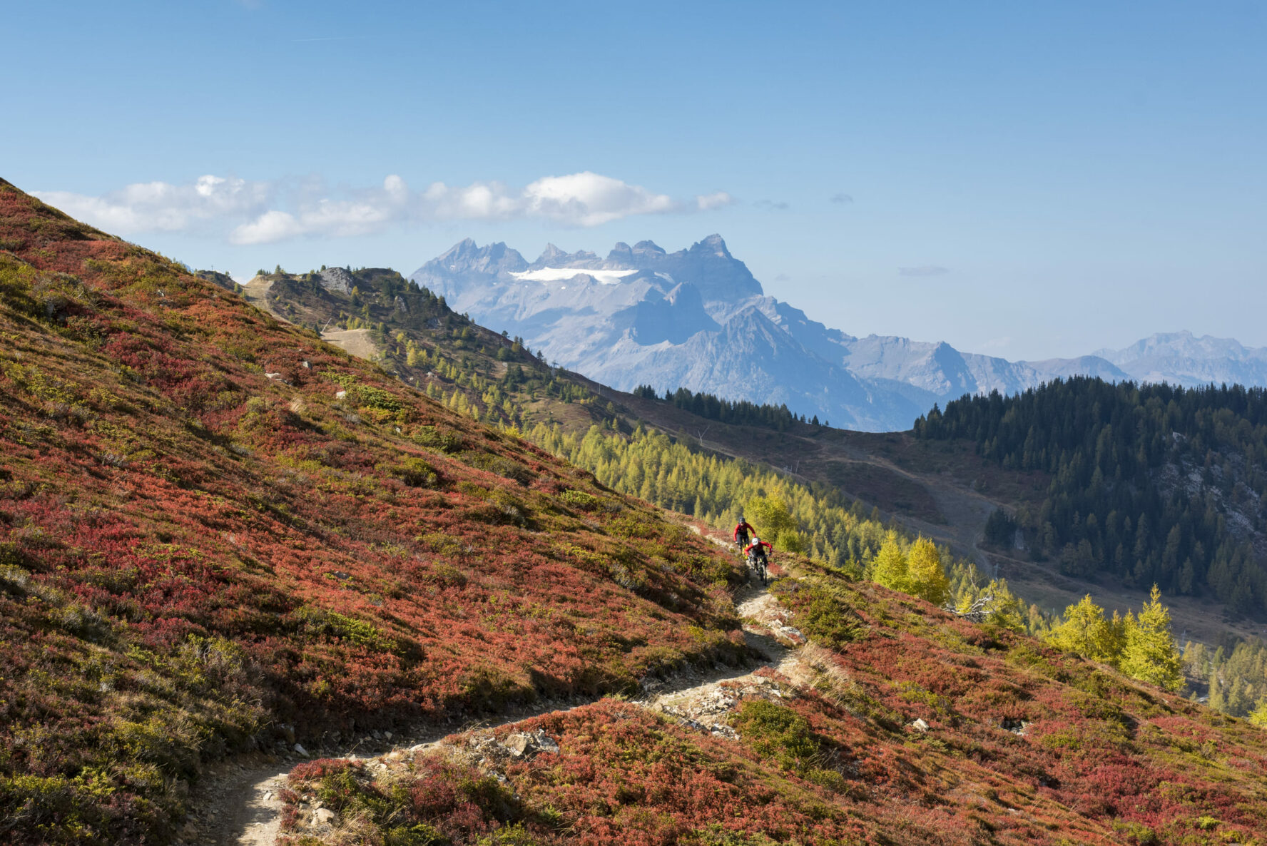 Mountains and forests, MTB in Verbier