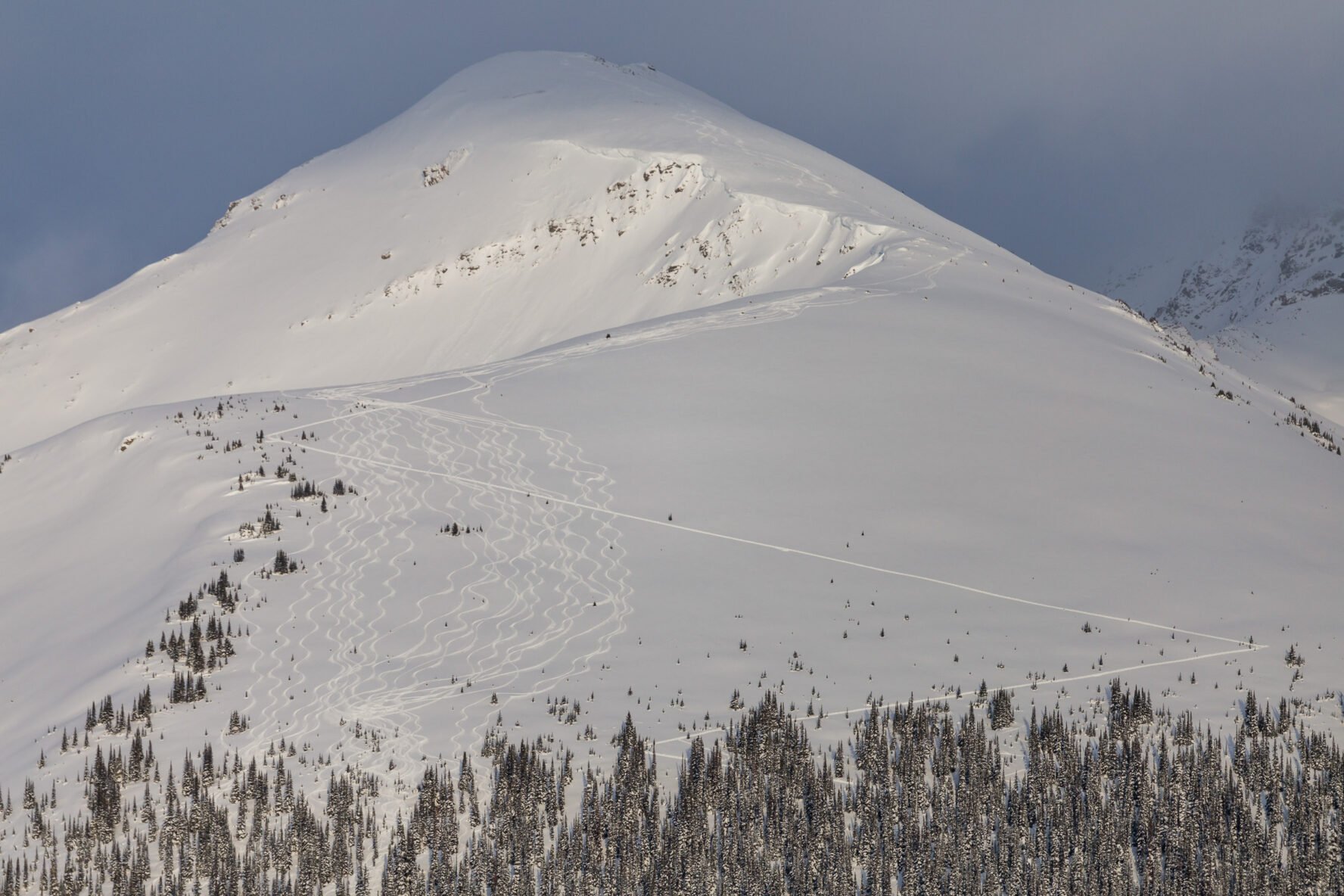 Ski tracks across the mountain face, near Purcell Mountain Lodge near golden, BC.